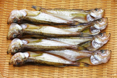 hatahata no himono, dried japanese sandfishの写真素材