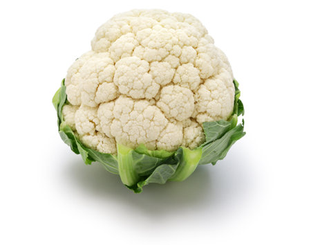cauliflower isolated on white backgroundの写真素材