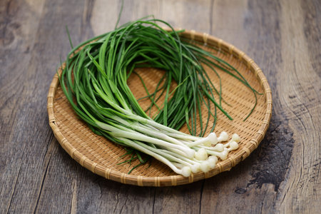 wild rocambole, edible wild plantsの写真素材