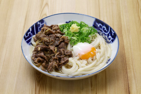 Sanuki udon with beef and soft-boiled egg, Japanese noodle dishの写真素材