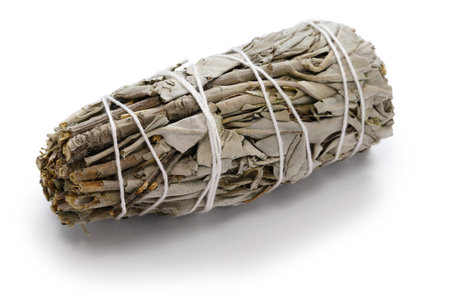 white sage smudge stick for meditation, healing, and spiritual room cleansingの写真素材