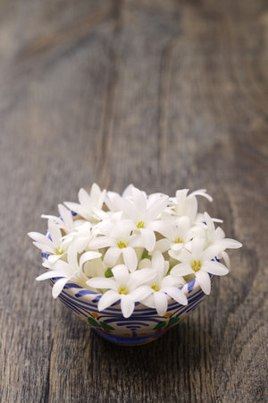 Tuberose flowers in a bowlの写真素材