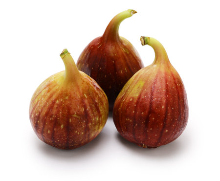 three figs isolated on white backgroundの写真素材