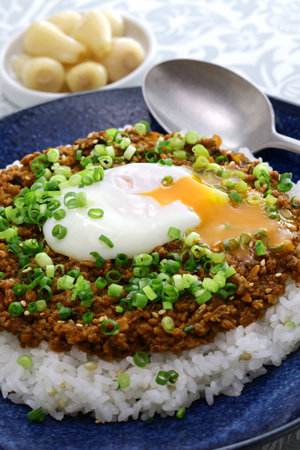 Japanese keema curry over riceの写真素材