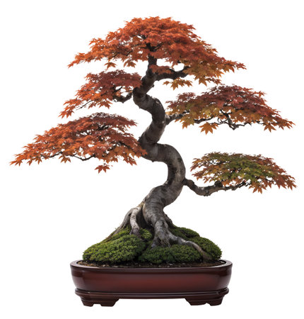 Japanese maple tree bonsai.
Bonsai uses cultivation techniques to produce small trees that mimic the shape and style of mature, full-size trees. AI-generatedの素材