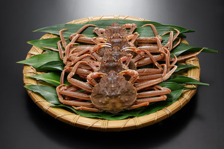 live Japanese snow crab (female)の写真素材