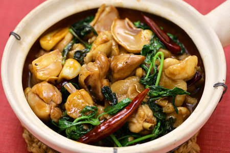 three-cup chicken ( San Bei Ji ) in a clay pot, Taiwanese traditional foodの写真素材