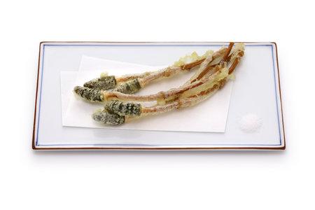 Tsukushi ( fertile shoots of field horsetail ) tempura, Japanese wild vegetable dishの写真素材