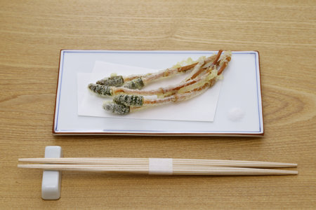 Tsukushi ( fertile shoots of field horsetail ) tempura, Japanese wild vegetable dishの写真素材