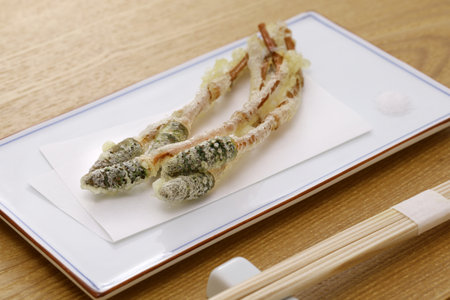 Tsukushi ( fertile shoots of field horsetail ) tempura, Japanese wild vegetable dishの写真素材