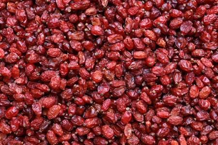 Zereshk, dried barberries from Iranの写真素材