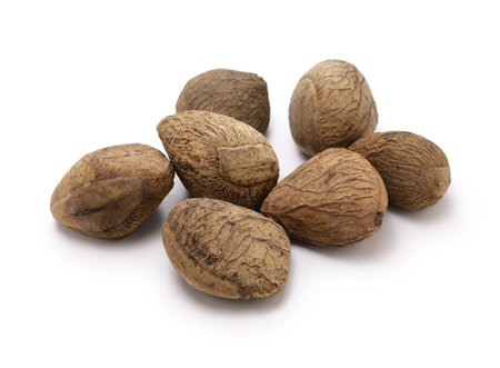 keluak ( pangium seed), used as spice in Indonesian cooking, edible by fermentation.の写真素材