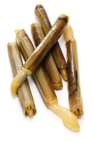 razor clam isolated on white backgroundの写真素材