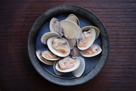 steamed Hamaguri clams with Japanese rice wine (sake).の写真素材