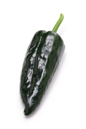 fresh Mexican poblano chile isolated on white backgroundの写真素材