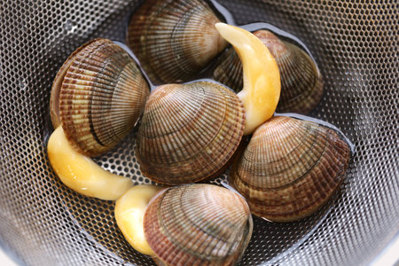 fresh Ishikagegai (Bering sea cockle) in a colander bowl, a Japanese sushi ingredientの写真素材