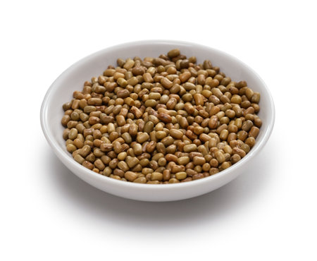 matki dal (moth bean, mat bean, dew bean ), Indian cuisine ingredientの写真素材