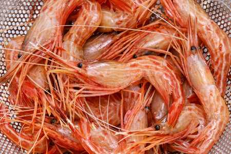Shimaebi (Morotoge shrimp), Japanese sushi and sashimi ingredientの写真素材