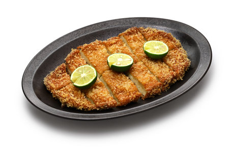 fish ground meat cutlet, Japanese cuisineの写真素材