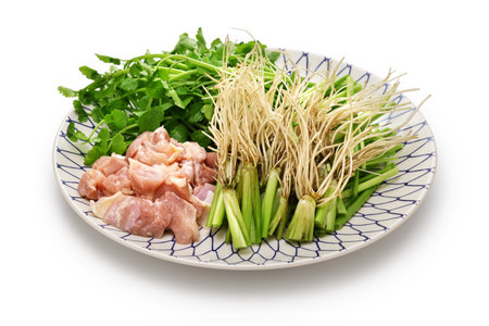 Ingredients for Sendai seri nabe ( Japanese parsley hotpot ). Seri roots are a delicious dish.の写真素材