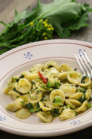 Orecchiette con le cime di rapa(Orecchiette with broccoli rabe), Specialty pasta from Puglia, Italyの写真素材
