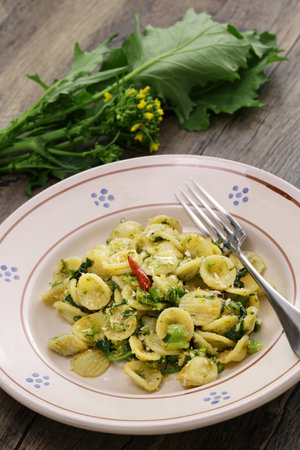 Orecchiette con le cime di rapa(Orecchiette with broccoli rabe), Specialty pasta from Puglia, Italyの写真素材