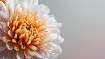 This stunning close-up photograph showcases a blooming flower in soft peach and cream shades. The delicate petals highlight natural beauty and serenity.の素材
