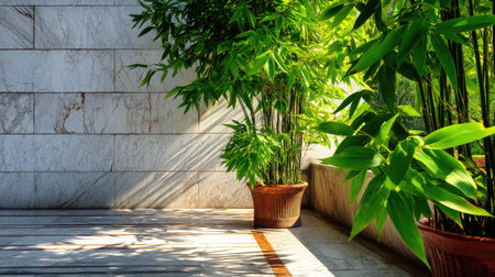This image showcases vibrant bamboo plants in decorative pots set against a light marble floor, illuminated by natural sunlight casting soft shadows, creating a harmonious and serene indoor space.の素材
