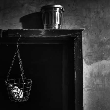 Light bulb in basketの素材