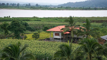 River side houseの素材