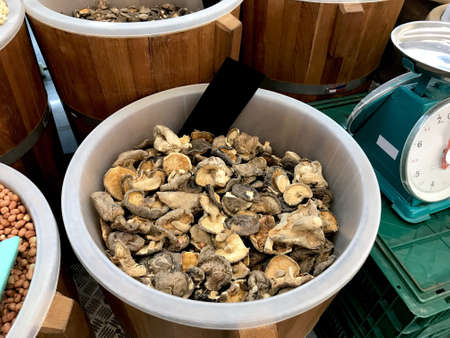 Dry mushroom inside bucketの素材