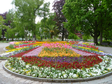Flower display at Constance Bodensee Germany の写真素材