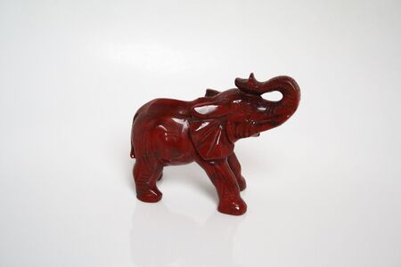 elephant001の写真素材