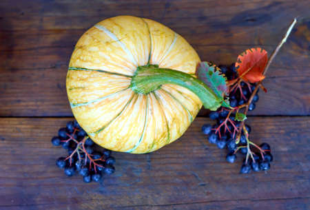 small pumpkins on an old wooden surface on a rainy dayの写真素材
