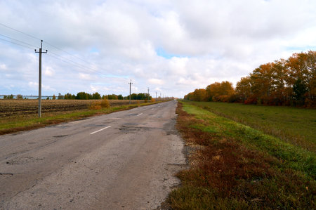 an asphalt road among rural autumn landscapesの写真素材