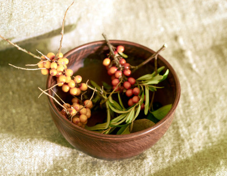 sea buckthorn grows in Siberia in natural conditions and has a high concentration of vitamins and minerals in the wildの写真素材