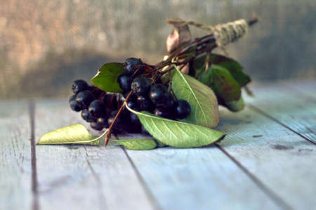 rowan brushes are collected and tied with twine threadの写真素材