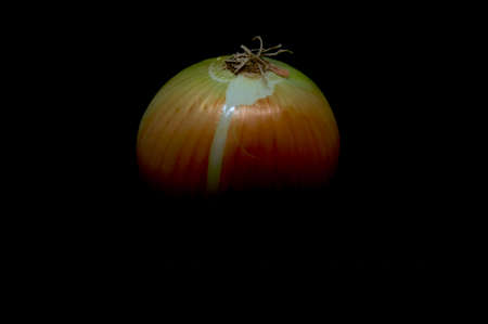 onion head on a black backgroundの写真素材