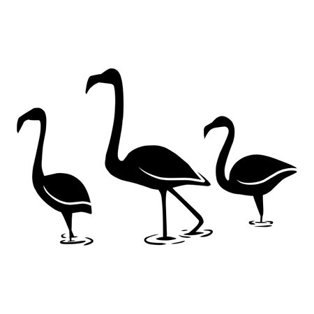flamingo silhouette black vector. wildlife silhouettesのイラスト素材