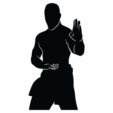 martial arts movement silhouette. vector imageのイラスト素材