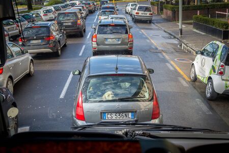 Dog in the car is looking backのeditorial素材