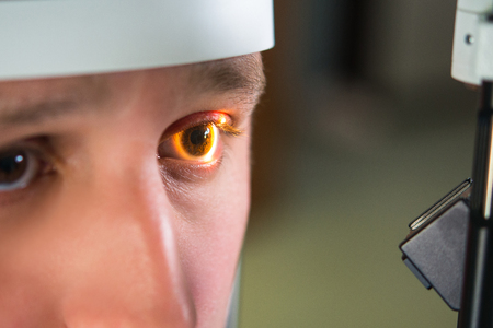 Research and scanning eye, close-up photos, retinal diagnostics in ophthalmologyの写真素材