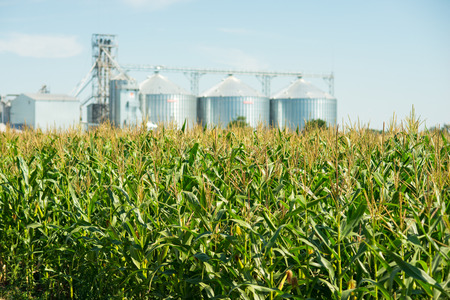Agricultural elevator or granary on the fieldの写真素材