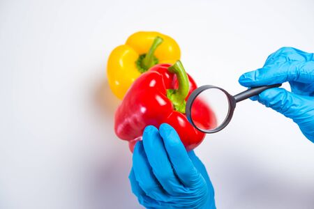 Research of various vegetables in the laboratory on GMOs and harmful substancesの写真素材