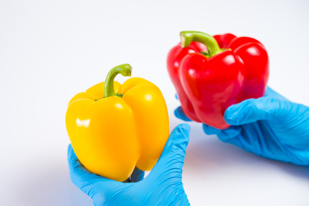 Research of various vegetables in the laboratory on GMOs and harmful substancesの写真素材