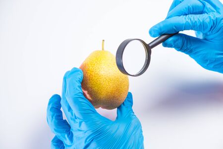 Research of various fruits  in the laboratory on GMOs and harmful substancesの写真素材