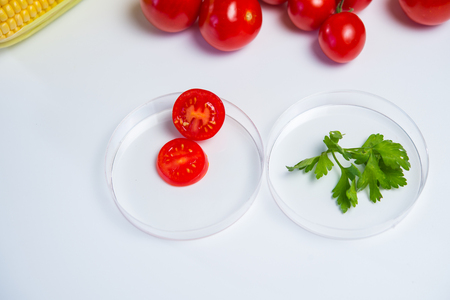 Research of various vegetables in the laboratory on GMOs and harmful substancesの写真素材