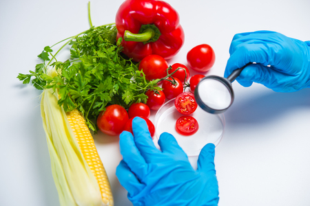 Research of various vegetables in the laboratory on GMOs and harmful substancesの写真素材