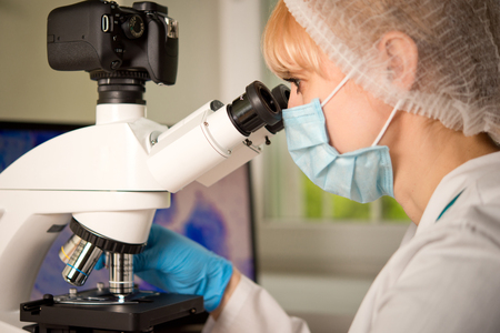 Laboratory assistant or technician in medical research lab looking into a microscope and doing researchの写真素材