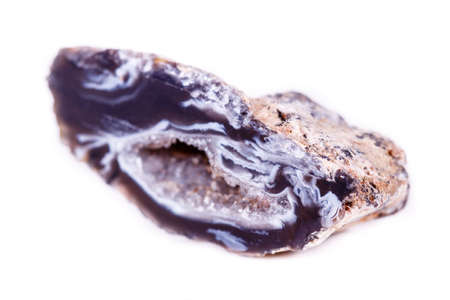 Macro mineral stone agate kidney gerbera on white background close up